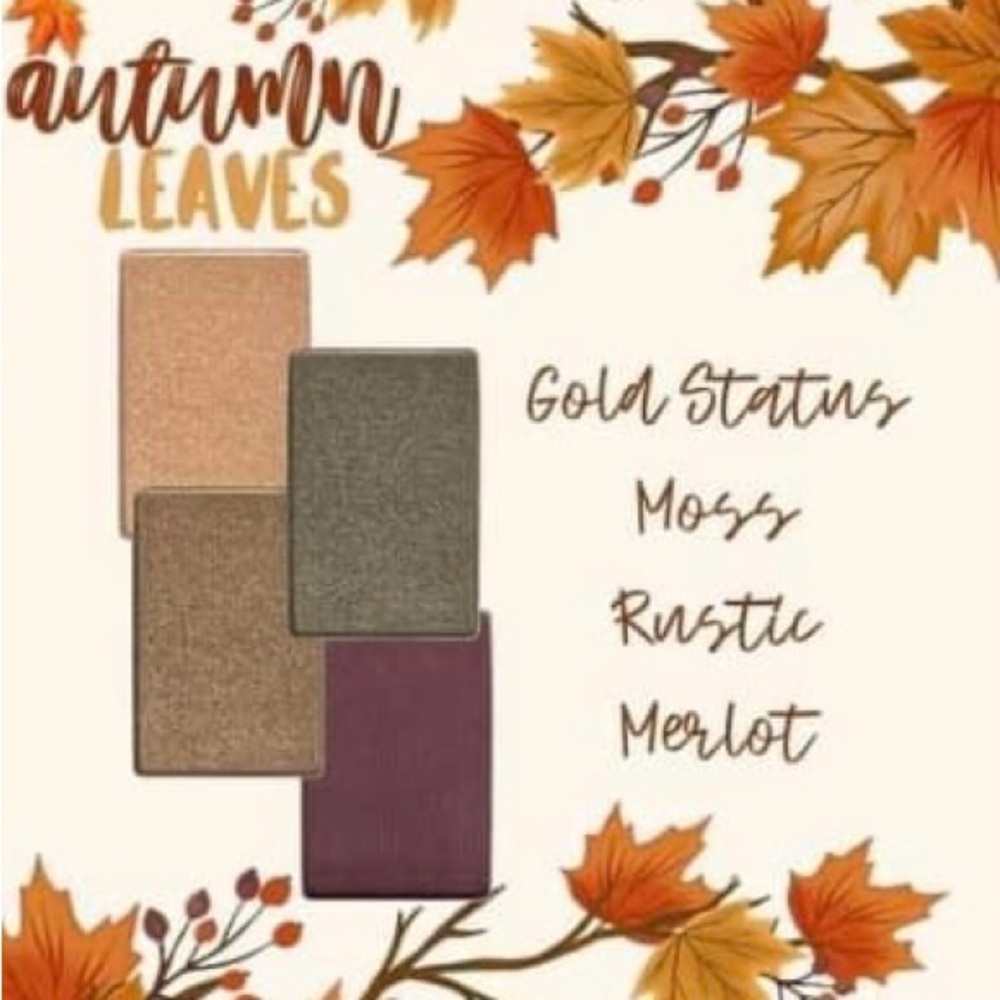 NWT AUTUMN LEAVES CUSTOM BUNDLE SET LOT Mary Kay 4 Shadows Blush & Palette Fall